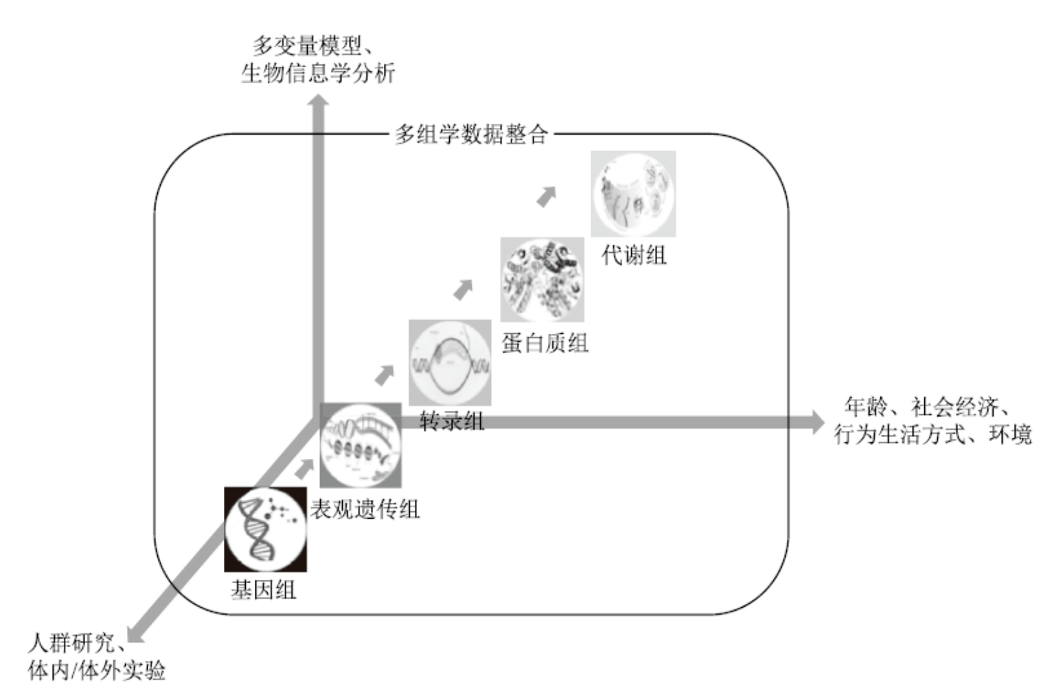 精準(zhǔn)醫(yī)療